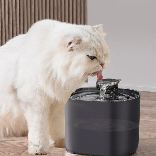 Cat Water Fountain Filter Dispenser